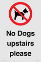 no-dogs-upstairs-please-~